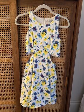 Zara Floral Cutout Dress, Small